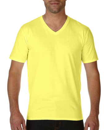 Premium Cotton Adult V-Neck T-Shirt