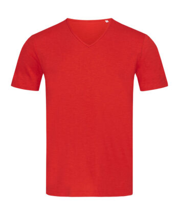 Shawn V-neck Men