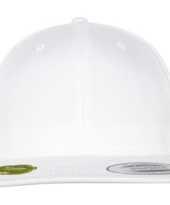 Organic Cotton Snapback