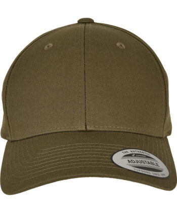 Curved Classic Snapback
