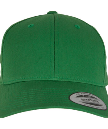 Curved Classic Snapback