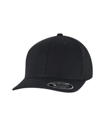 Flexfit 110 Curved Snapback